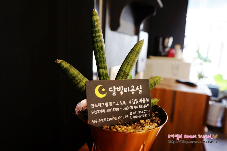 달빛미용실 이미지
