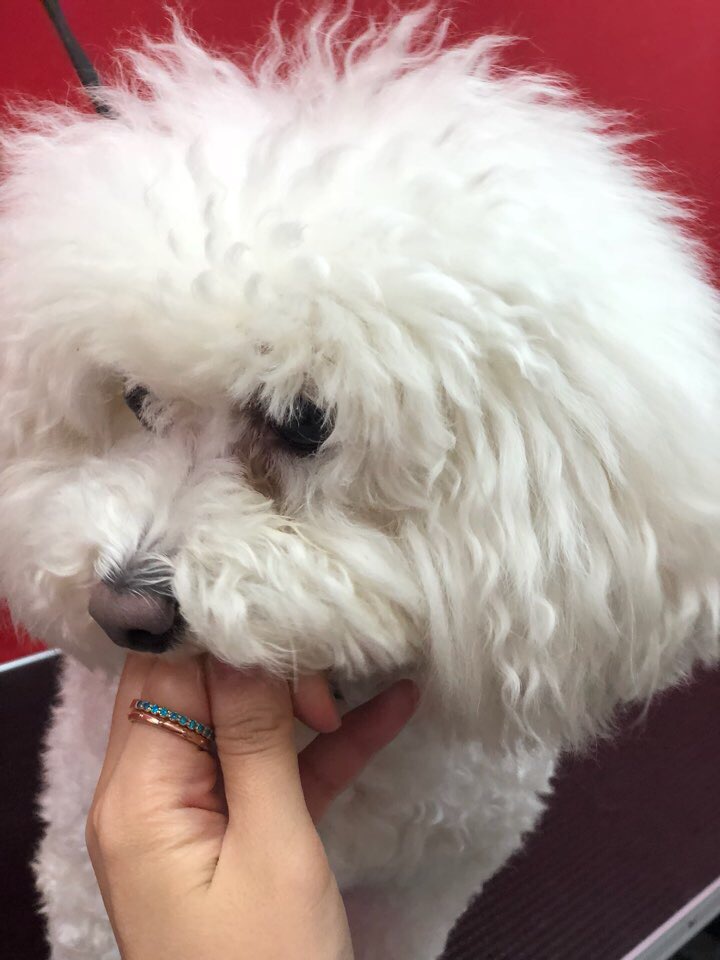 강두부 이미지