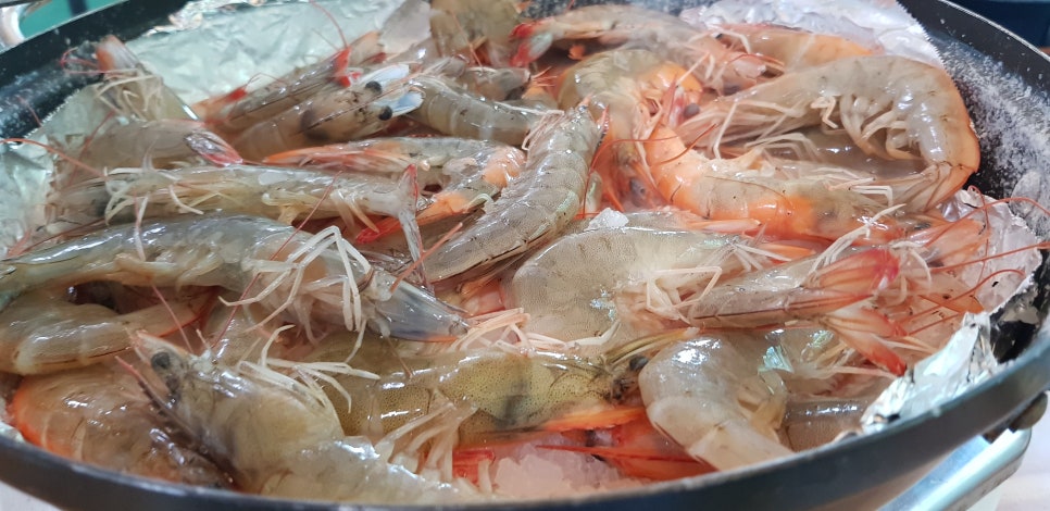 고성왕새우 이미지