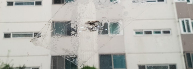 유성차유리 이미지