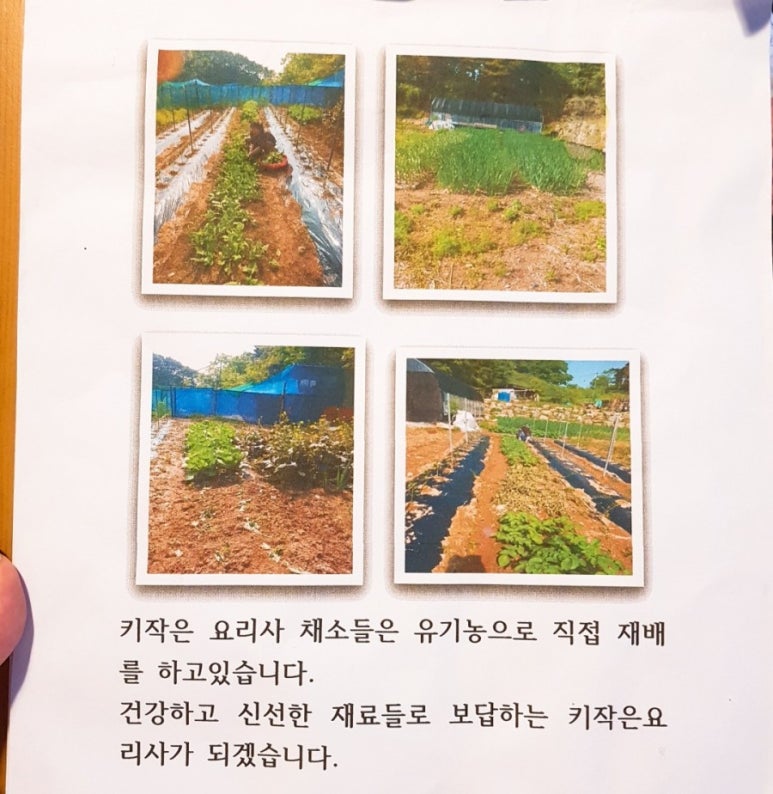 키작은요리사 이미지