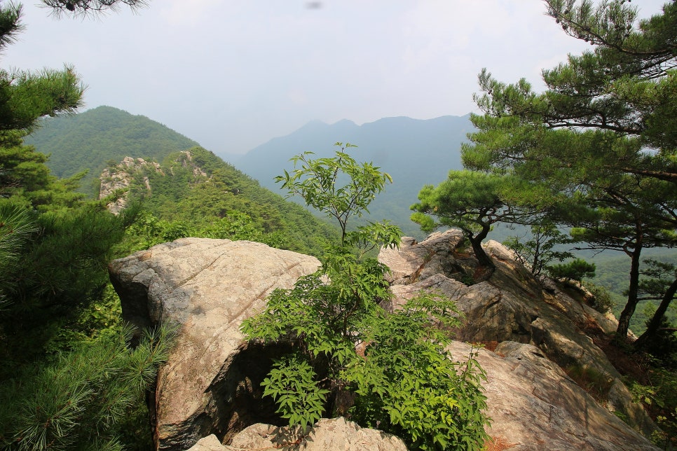 오도산자연휴양림 이미지