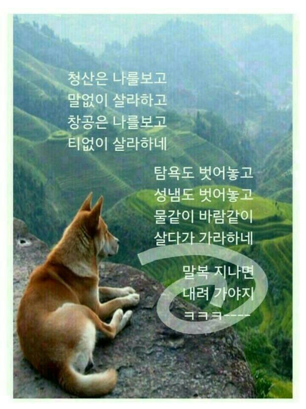 헐 이미지