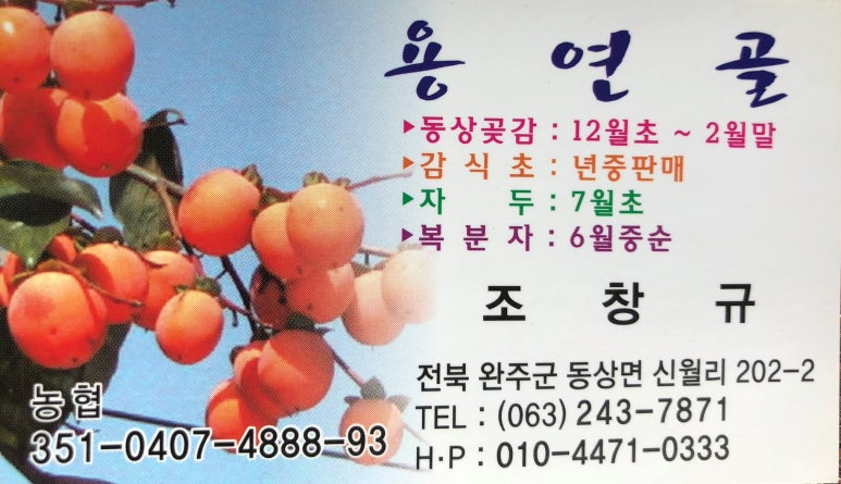 용연골 이미지