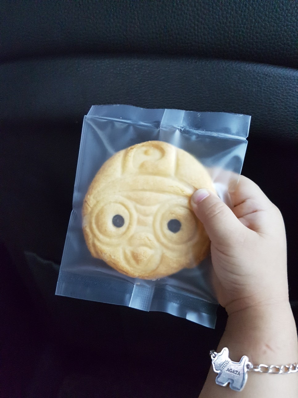빠꿈사리 이미지