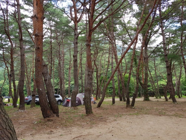 아침가리계곡캠핑장 이미지
