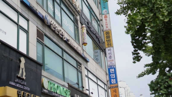 플러스드바이 이미지