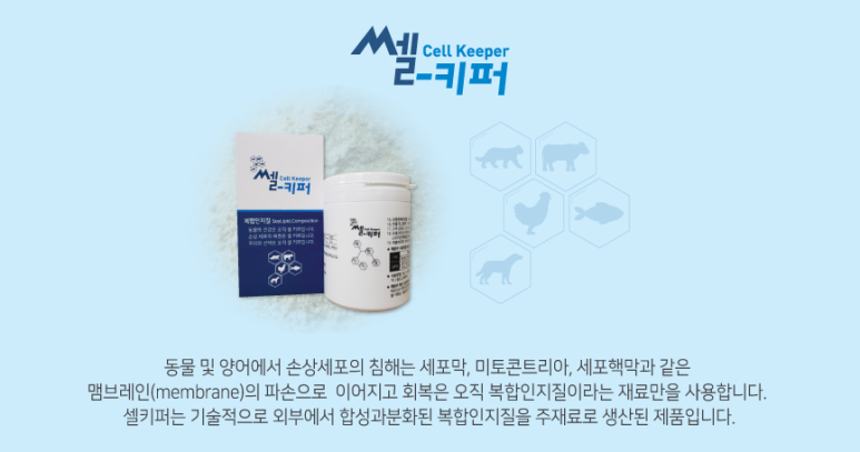주식회사 호체 이미지