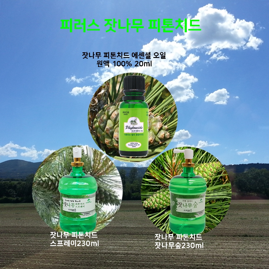 (주)피러스 이미지