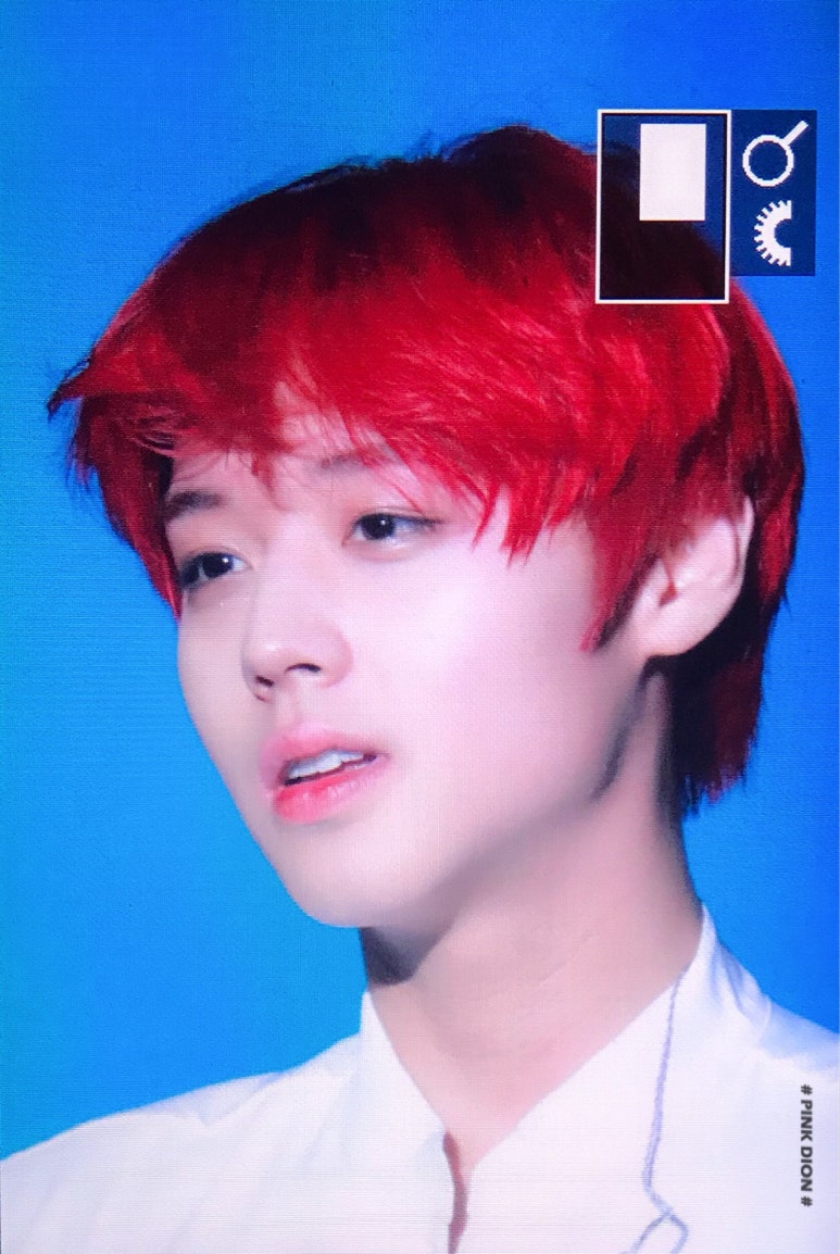 체리투어 이미지