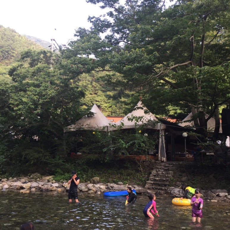 곰식당 이미지