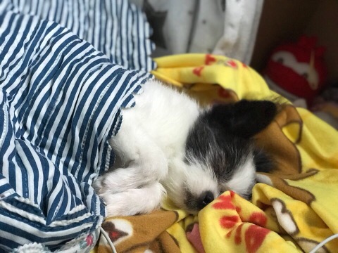 명당에어컨 이미지