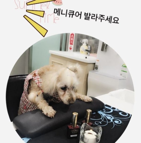 뷰티풀드림학습센터미용학원 이미지