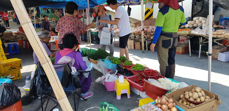 서울대정병원 이미지