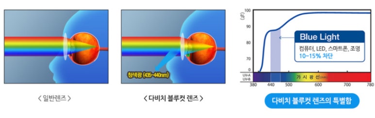 블루컷 이미지