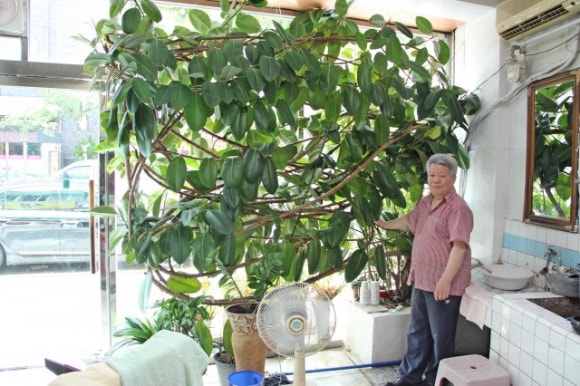 영동이용원 이미지