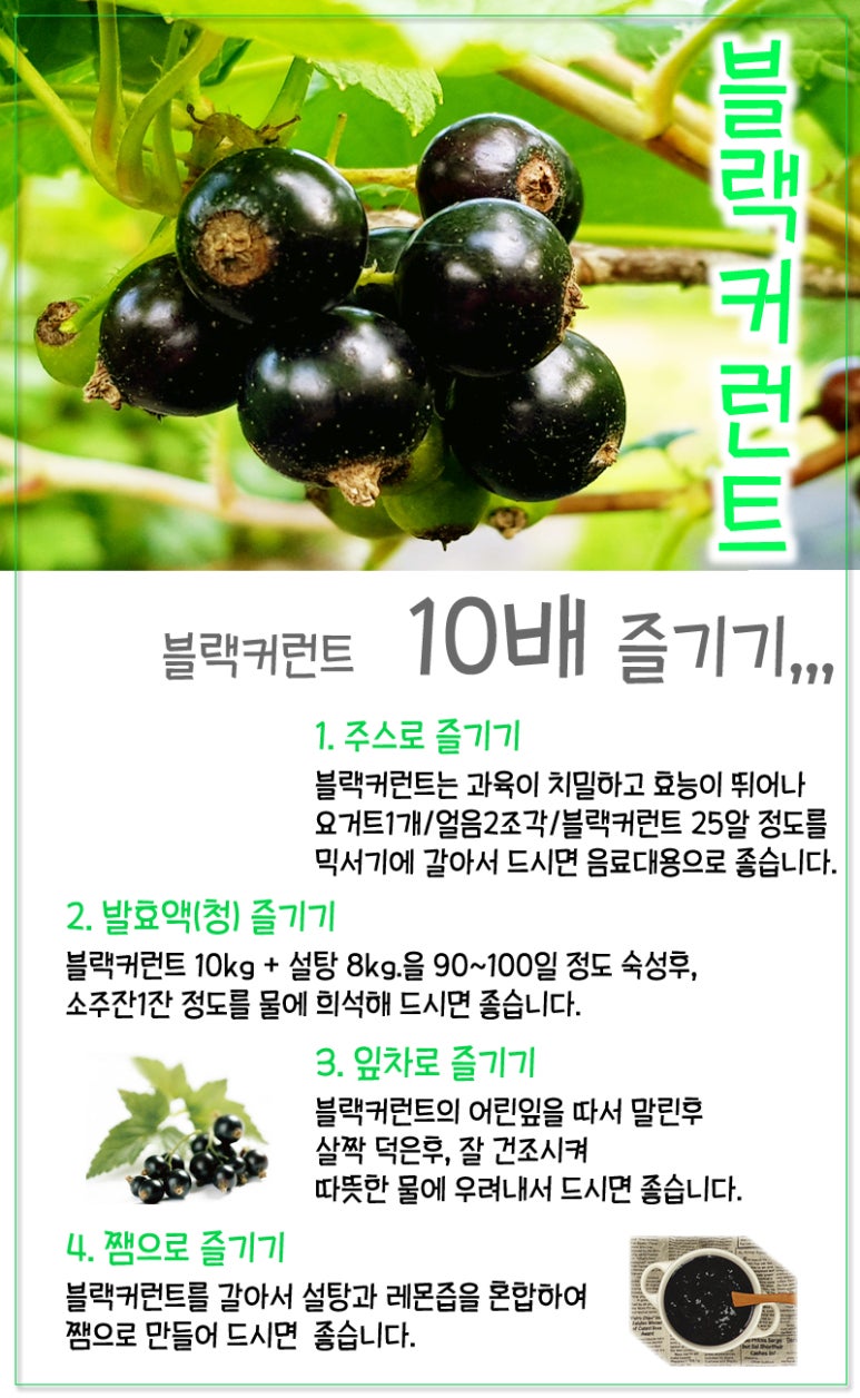 디자인커런트 이미지