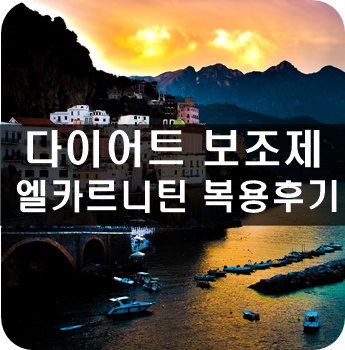 엘2알 이미지