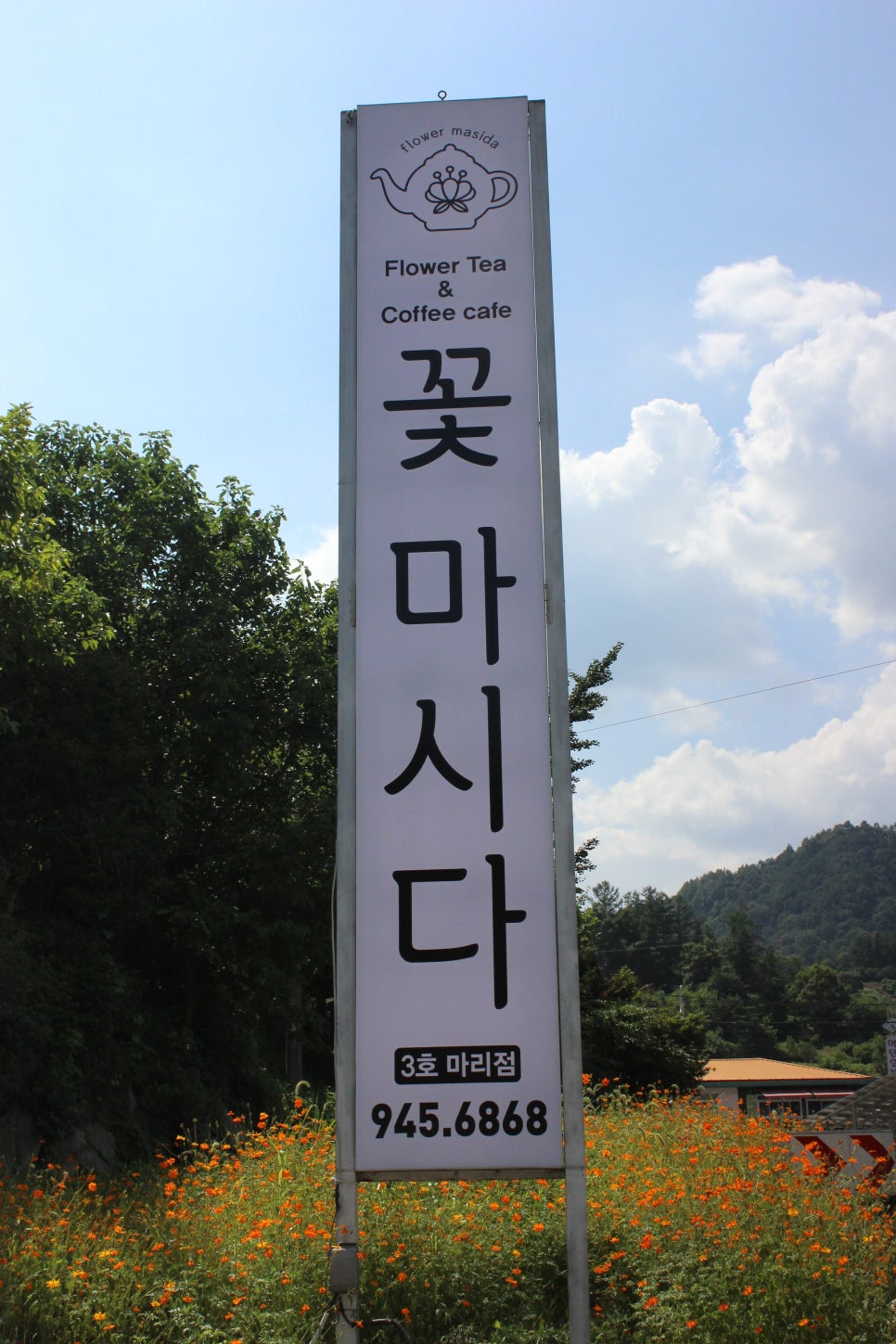 꽃마시다 이미지