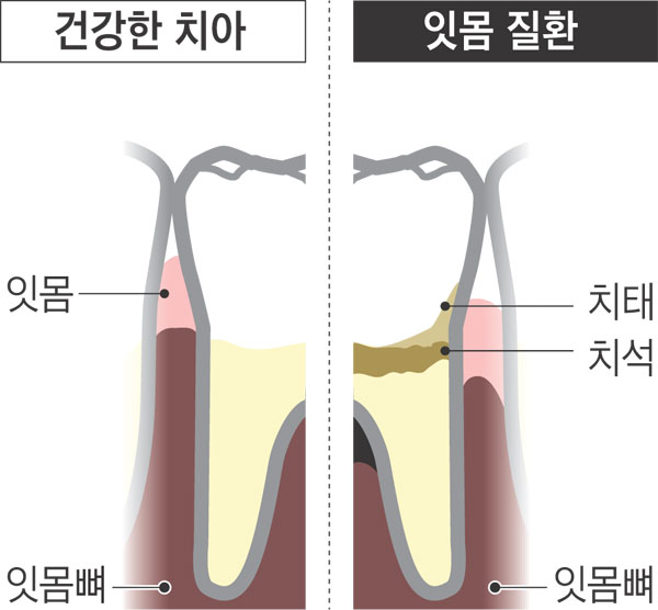 연세하늘치과의원 이미지