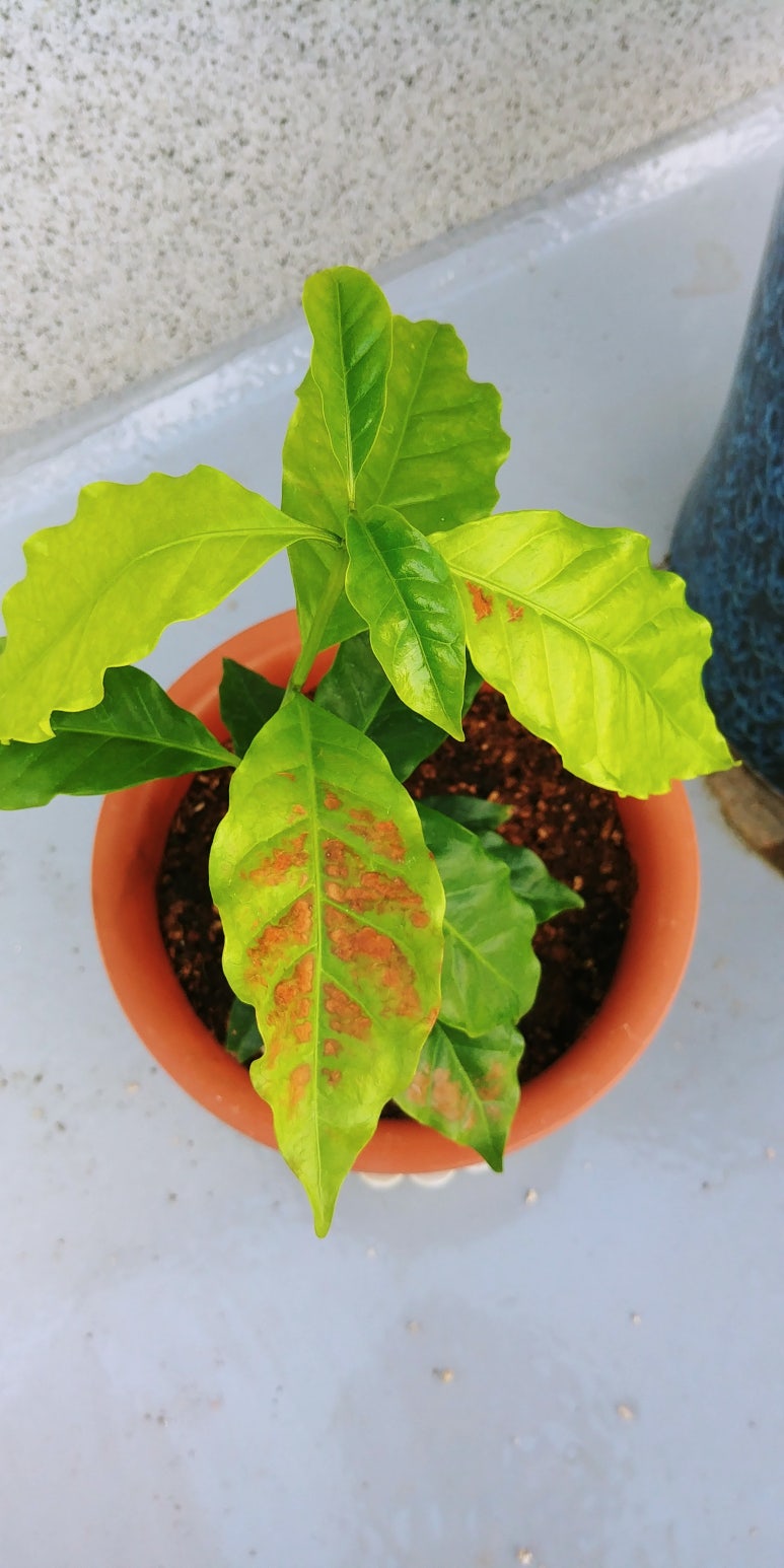 수목원 가을 정원, 단풍보다 깊은 가을의 숨결을 걷다, image size:773x1546