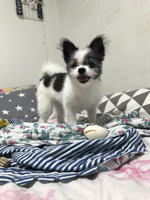 명당에어컨 이미지