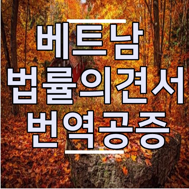 다솜행정사사무소 이미지
