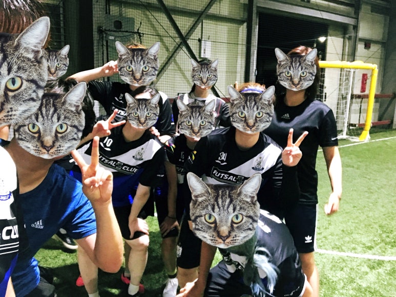 킥캣 이미지