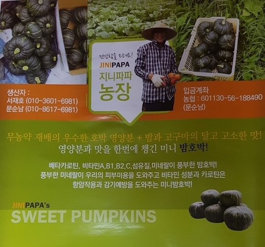 지니파파 이미지
