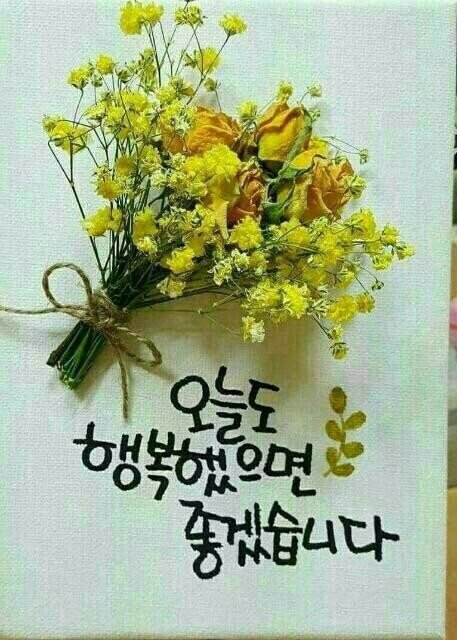 세기냉열 이미지