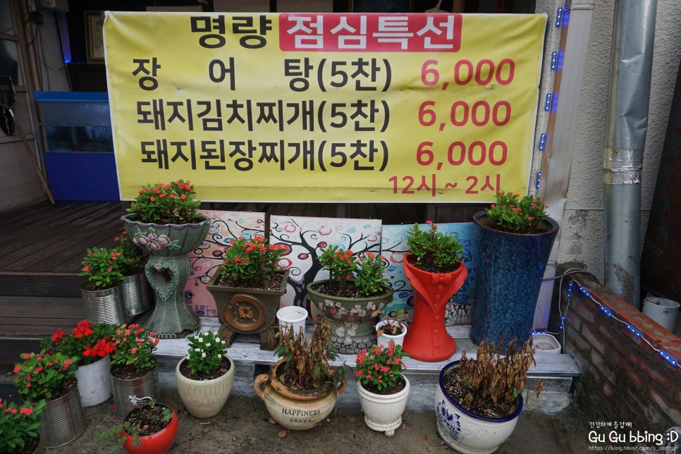 명량돼지 이미지