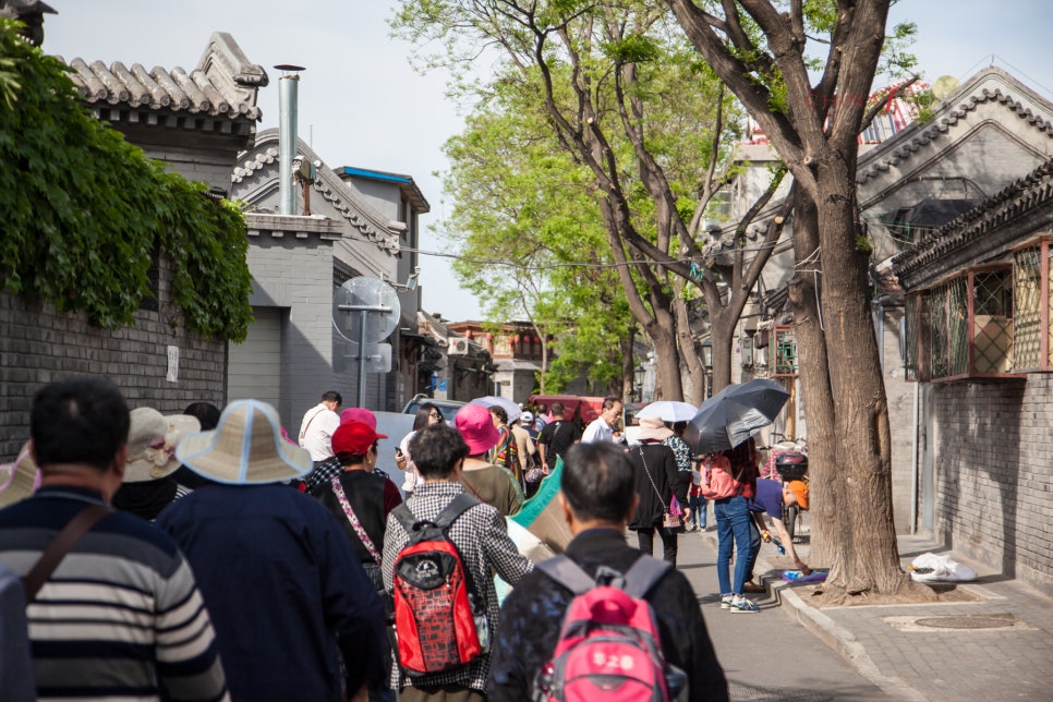 조운인력 이미지