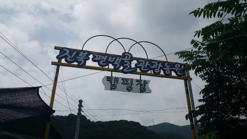 진북편백골관광농원캠핑장 이미지