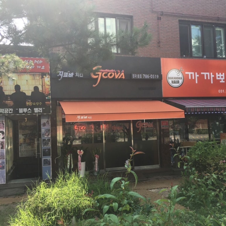 지코바정자 이미지