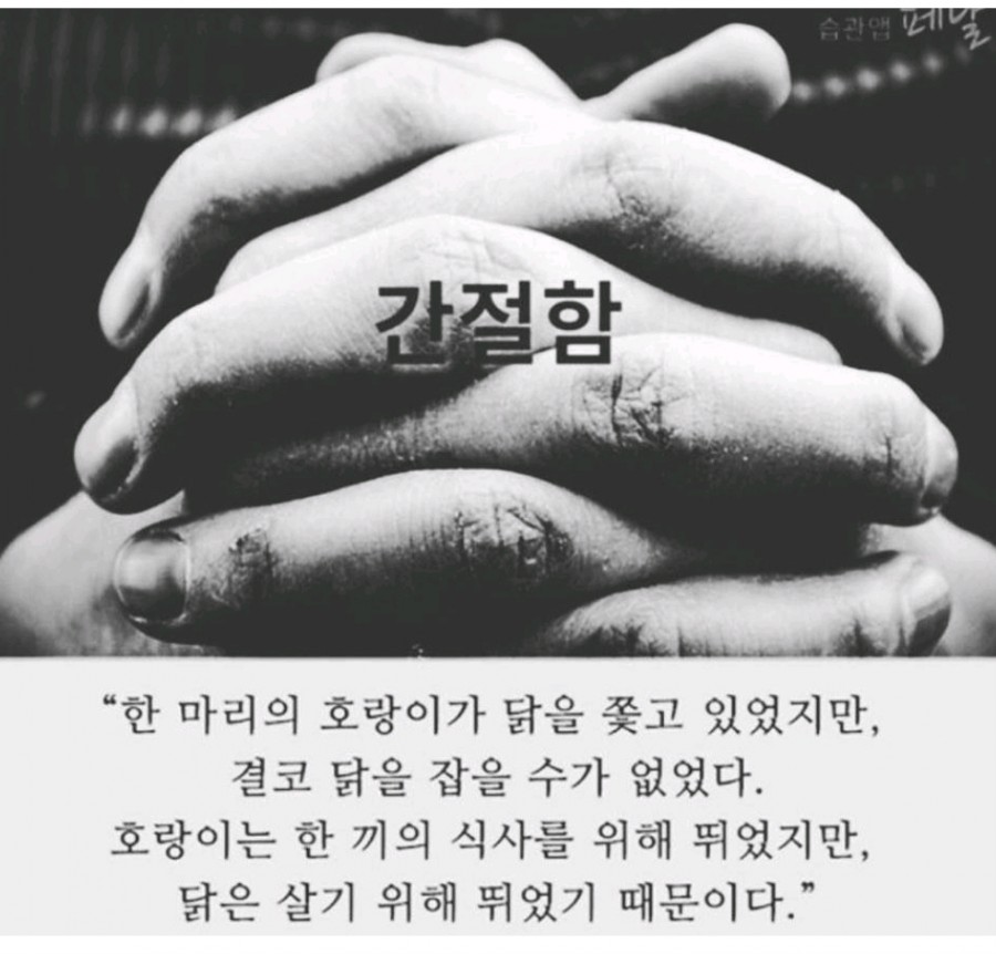콘티헤어 이미지