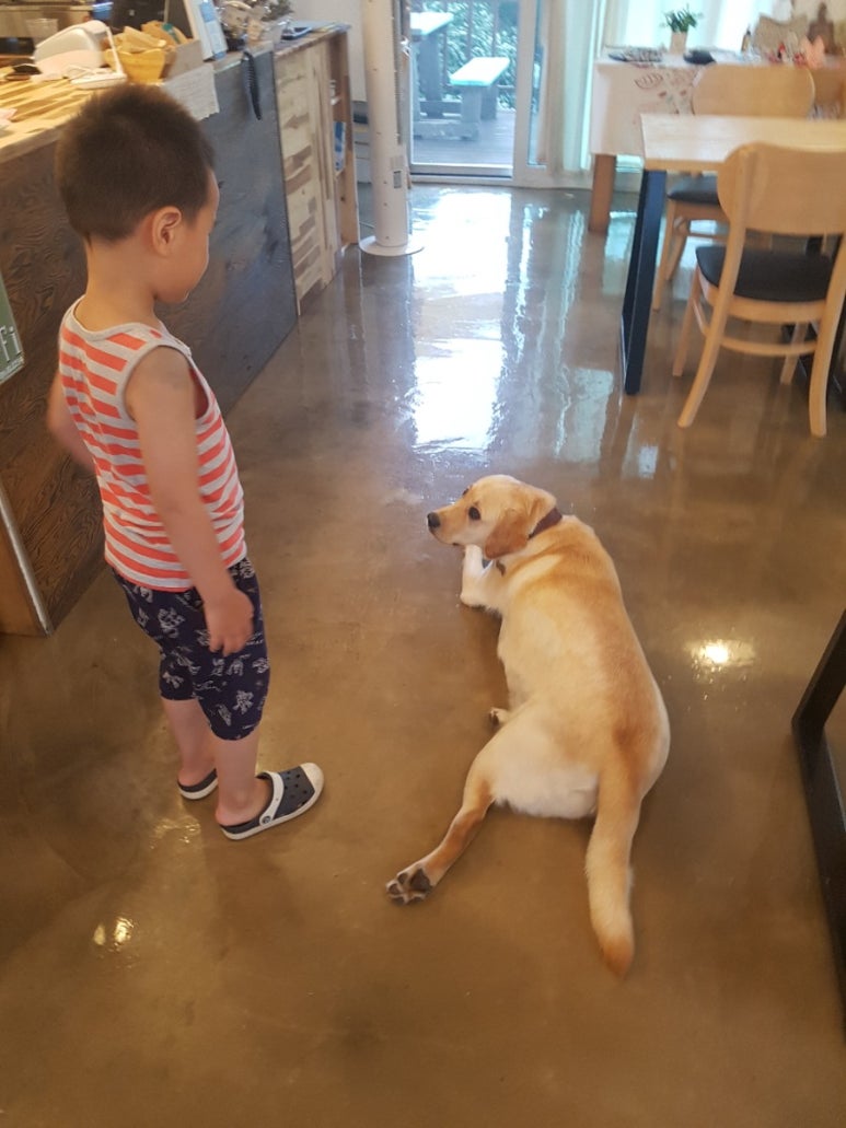 위미로와 이미지