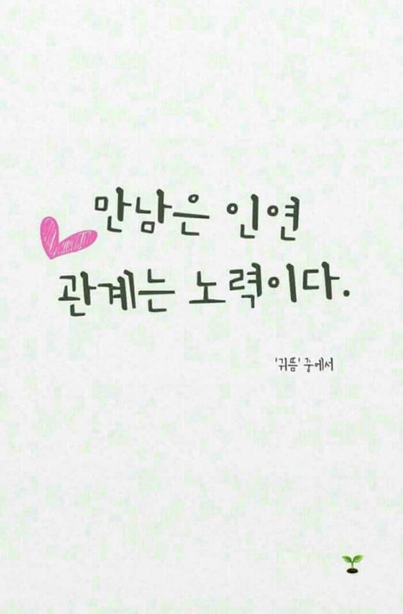 청송꽃차이야기 솔채 이미지