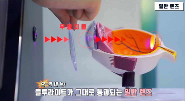 블루컷 이미지