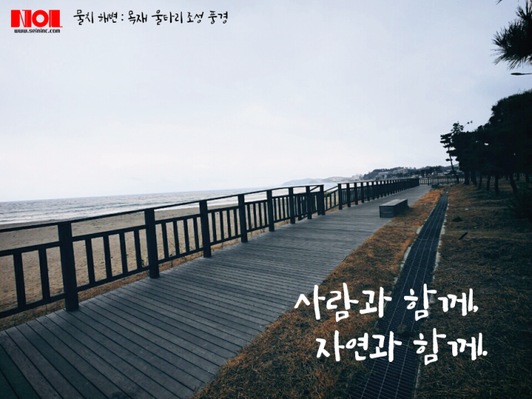 (주)세인 이미지