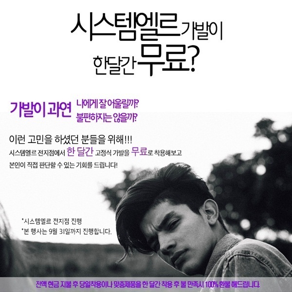 시스템엘르 이미지