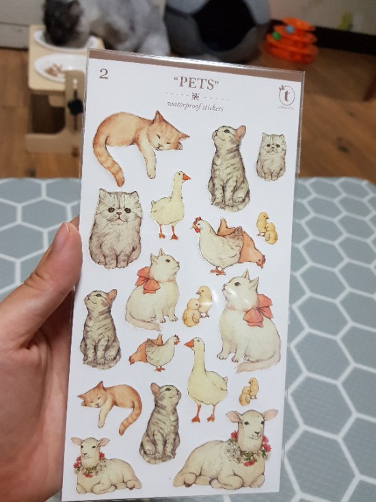 단이마켓 이미지