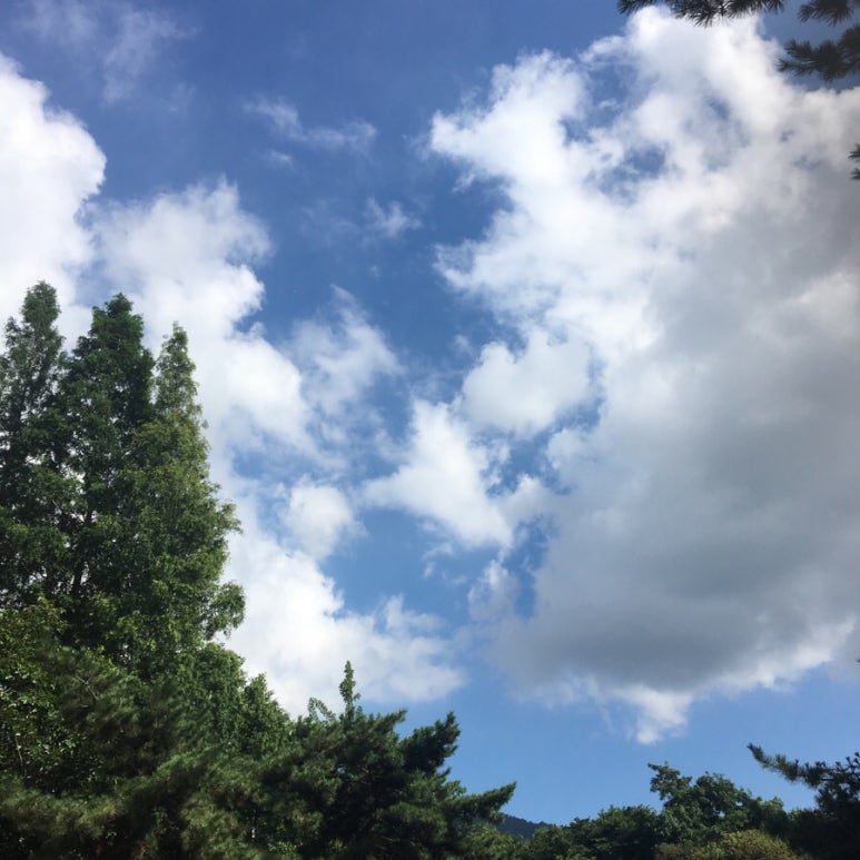 블랙콩(이레평촌점) 이미지