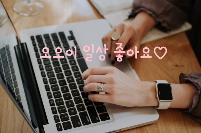홍춘천매운치즈닭갈비 이미지