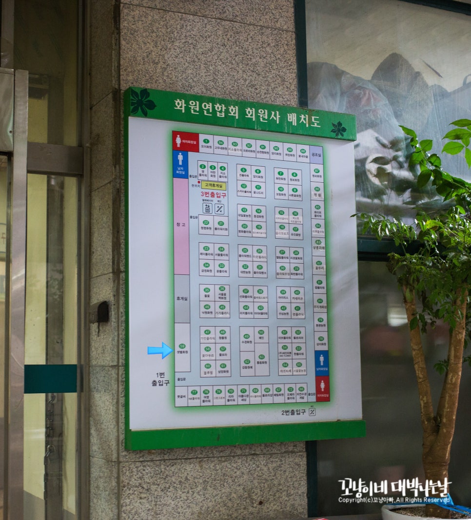 샛별화원 이미지