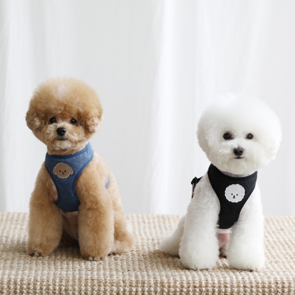 싸요싸 이미지