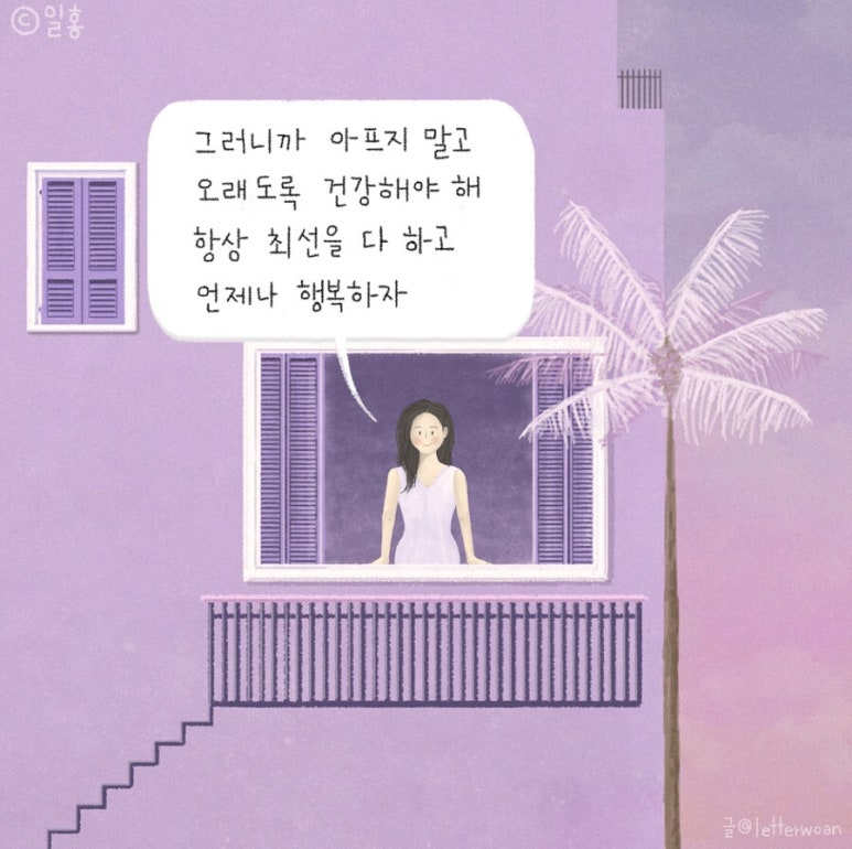일홍 이미지