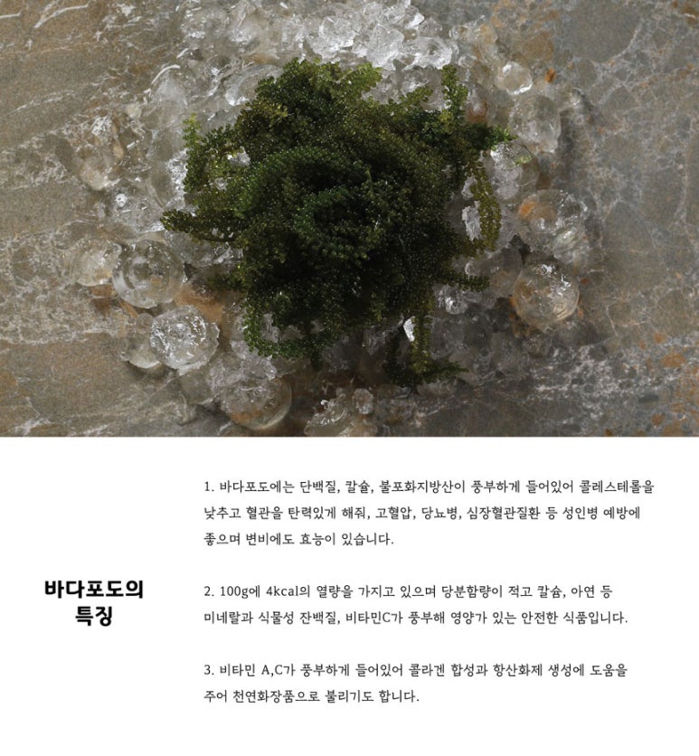(주) 대진엠에스 이미지