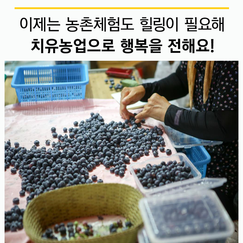 뜰과숲농원 이미지