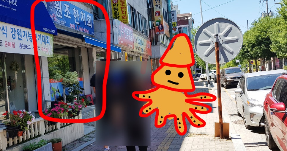 원조한치회 이미지