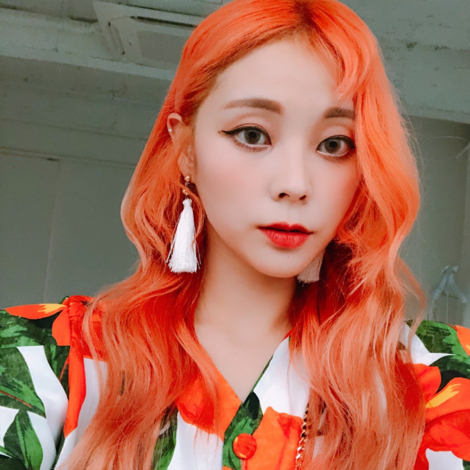 헬로알로 이미지